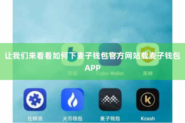 让我们来看看如何下麦子钱包官方网站载麦子钱包APP