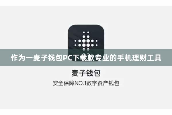 作为一麦子钱包PC下载款专业的手机理财工具