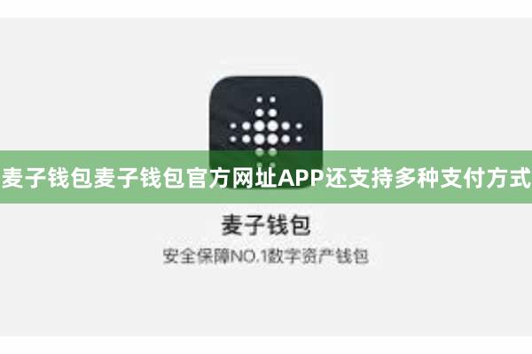 麦子钱包麦子钱包官方网址APP还支持多种支付方式