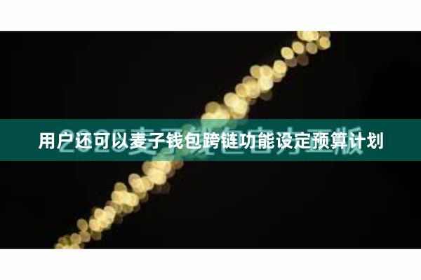 用户还可以麦子钱包跨链功能设定预算计划