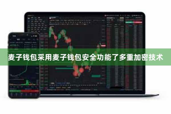 麦子钱包采用麦子钱包安全功能了多重加密技术