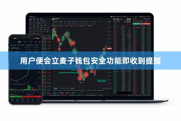 用户便会立麦子钱包安全功能即收到提醒