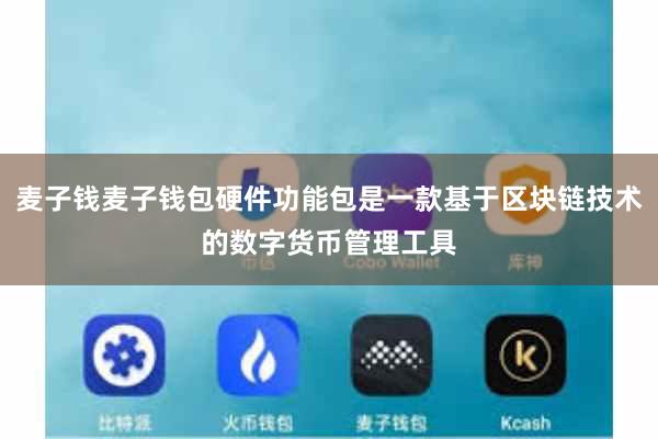 麦子钱麦子钱包硬件功能包是一款基于区块链技术的数字货币管理工具