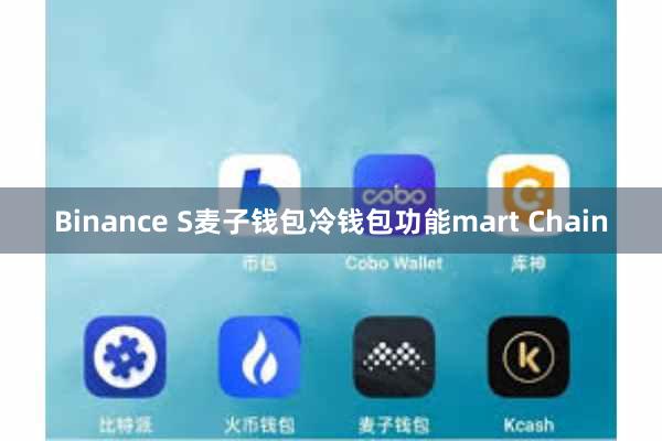 Binance S麦子钱包冷钱包功能mart Chain