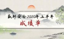 盛邦安全2020年上半年业务收入同比增长77% 