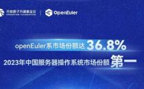 份额36.8%！欧拉位居中国服务器操作系统市场第一，累计装机量超610万套