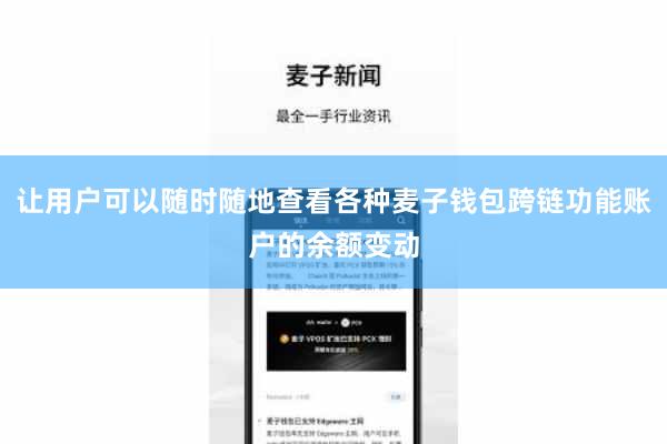 让用户可以随时随地查看各种麦子钱包跨链功能账户的余额变动