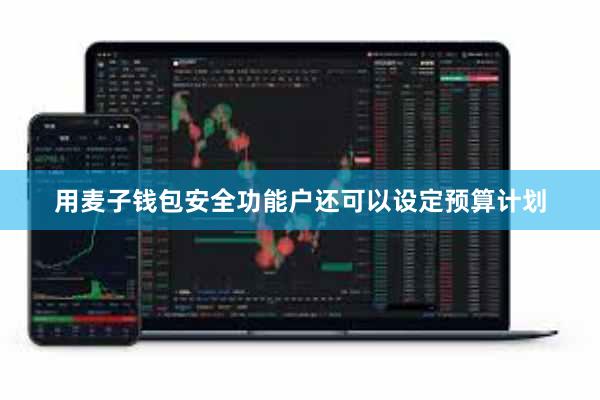 用麦子钱包安全功能户还可以设定预算计划