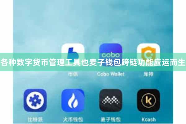 各种数字货币管理工具也麦子钱包跨链功能应运而生