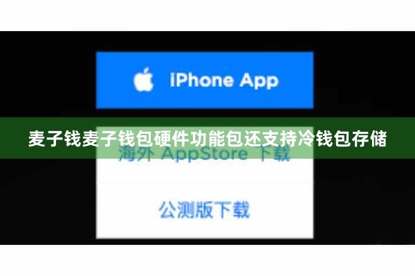 麦子钱麦子钱包硬件功能包还支持冷钱包存储