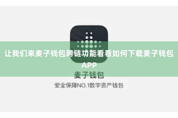 让我们来麦子钱包跨链功能看看如何下载麦子钱包APP
