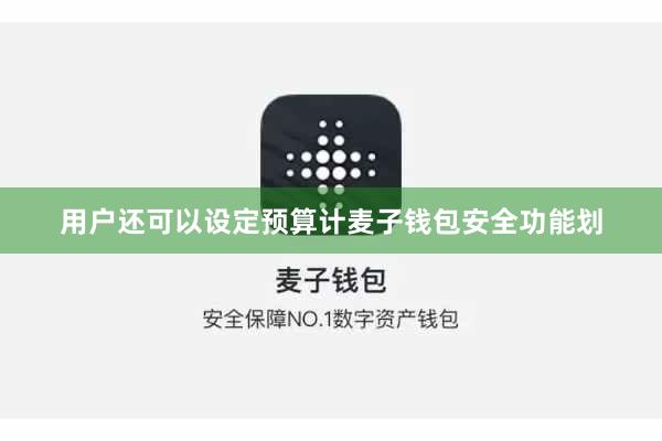 用户还可以设定预算计麦子钱包安全功能划