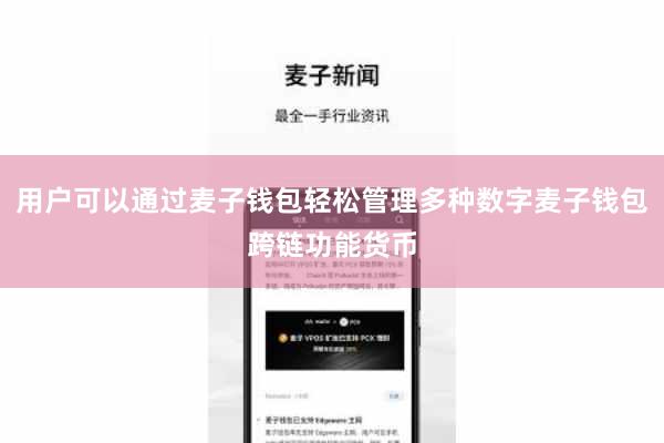 用户可以通过麦子钱包轻松管理多种数字麦子钱包跨链功能货币