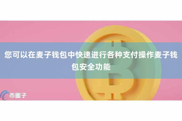 您可以在麦子钱包中快速进行各种支付操作麦子钱包安全功能