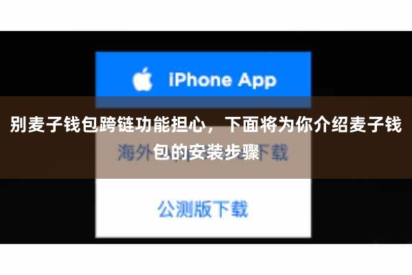 别麦子钱包跨链功能担心，下面将为你介绍麦子钱包的安装步骤