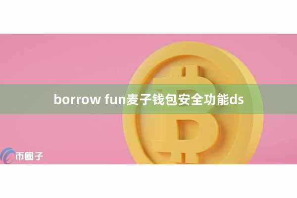 borrow fun麦子钱包安全功能ds