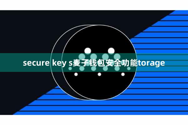 secure key s麦子钱包安全功能torage