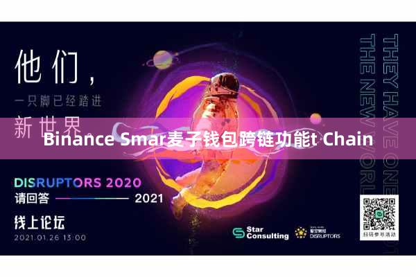 Binance Smar麦子钱包跨链功能t Chain