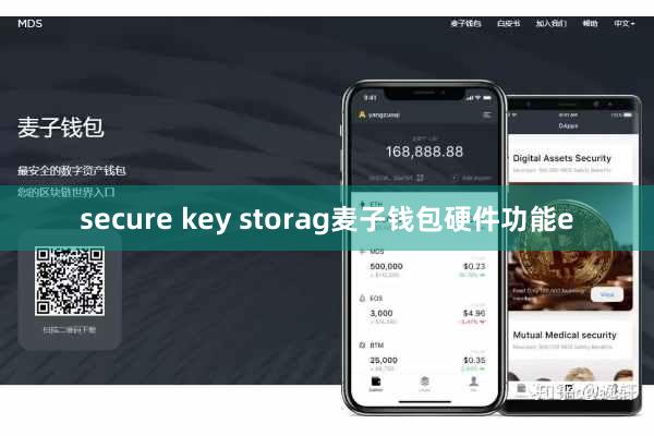 secure key storag麦子钱包硬件功能e