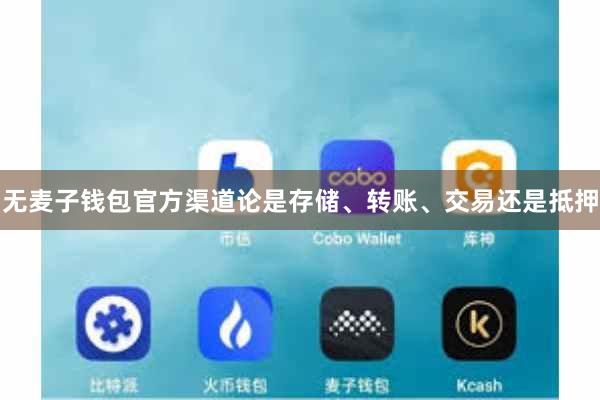 无麦子钱包官方渠道论是存储、转账、交易还是抵押