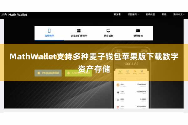 MathWallet支持多种麦子钱包苹果版下载数字资产存储