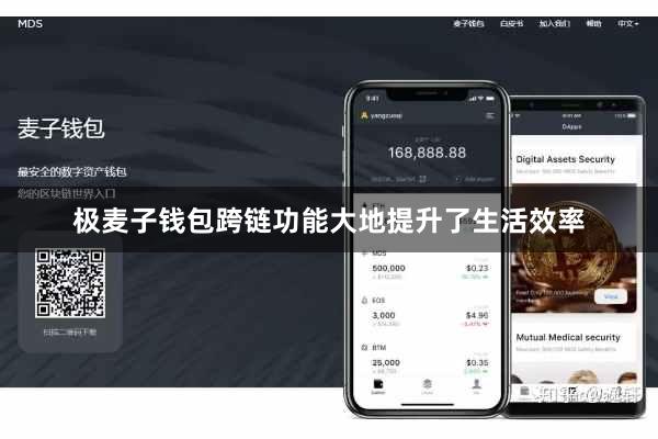极麦子钱包跨链功能大地提升了生活效率