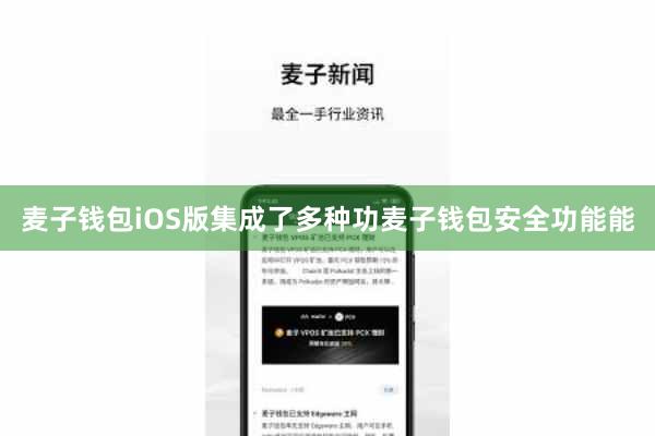 麦子钱包iOS版集成了多种功麦子钱包安全功能能