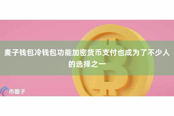 麦子钱包冷钱包功能加密货币支付也成为了不少人的选择之一