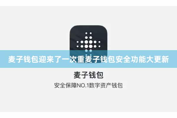 麦子钱包迎来了一次重麦子钱包安全功能大更新