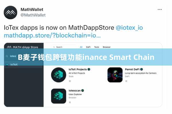 B麦子钱包跨链功能inance Smart Chain